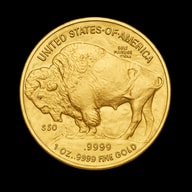American Buffalo moneta d'oro bisonte lato iconico