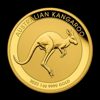 Kangaroo australiano moneta d'oro canguro lato iconico