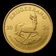 Krugerrand d'oro con antilope Springbok lato iconico